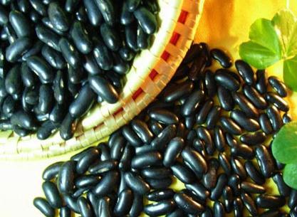 黑豆与黑芸豆的区别,黑豆和黑芸豆哪个更好
